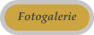 Fotogalerie